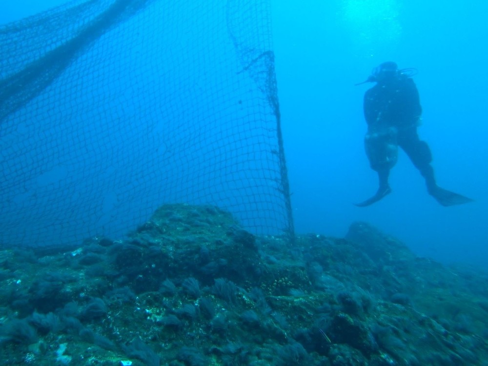 Abandoned or lost fishing nets also called ghost nets that trapped marine animals, plastic debris, and other creatures, such as human divers.