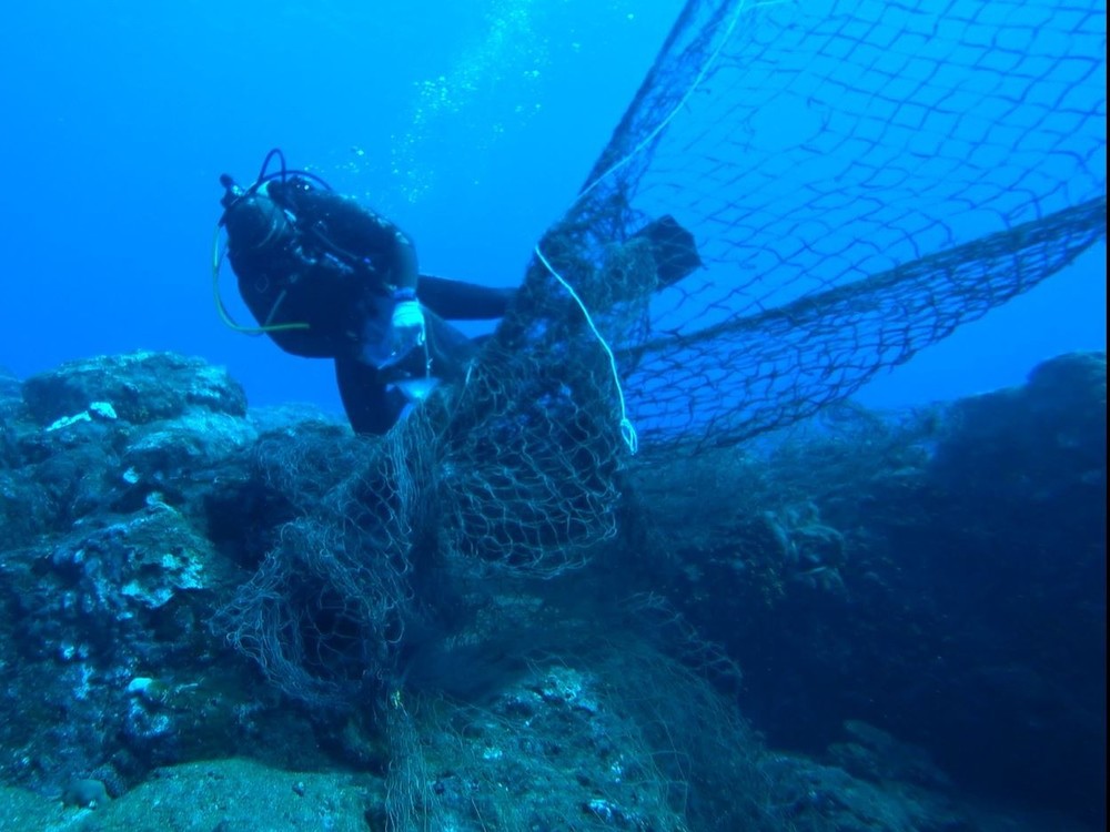 It took a great effort for a project worker to remove a fishing net that got stuck on rocks.