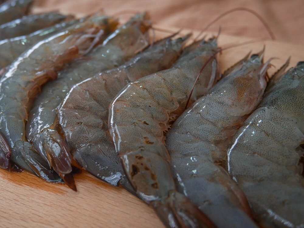 The newly launched a frozen product “Good White Shrimp” was nurtured by Professor Hong, Ming-Chang of the Aquaculture Department.